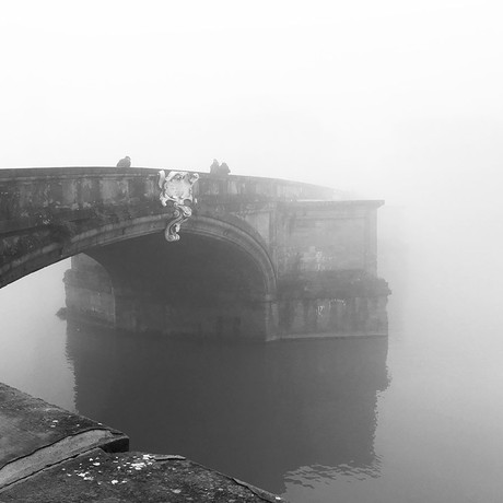 Fog in Florence city
