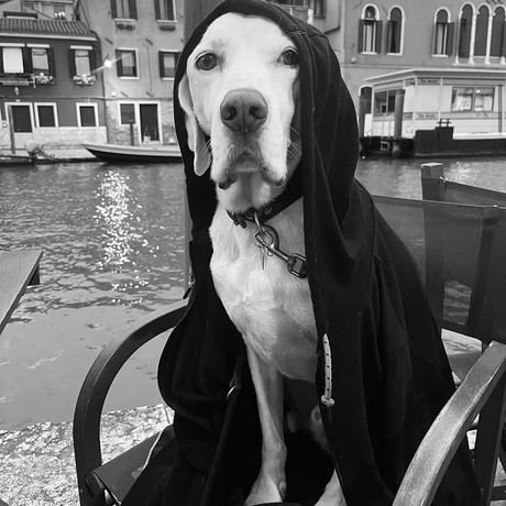 Venezia