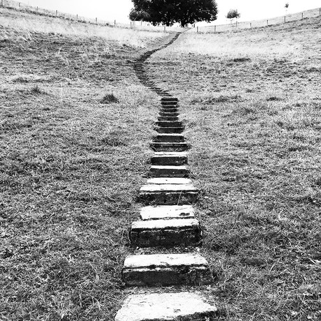 To the light